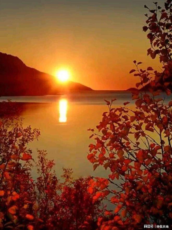 除夕玩的游戏_除夕手机游戏大全_除夕手机游戏