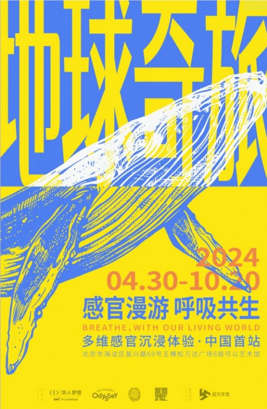 戴帽子游戏_戴帽子的单机游戏_戴帽手机游戏