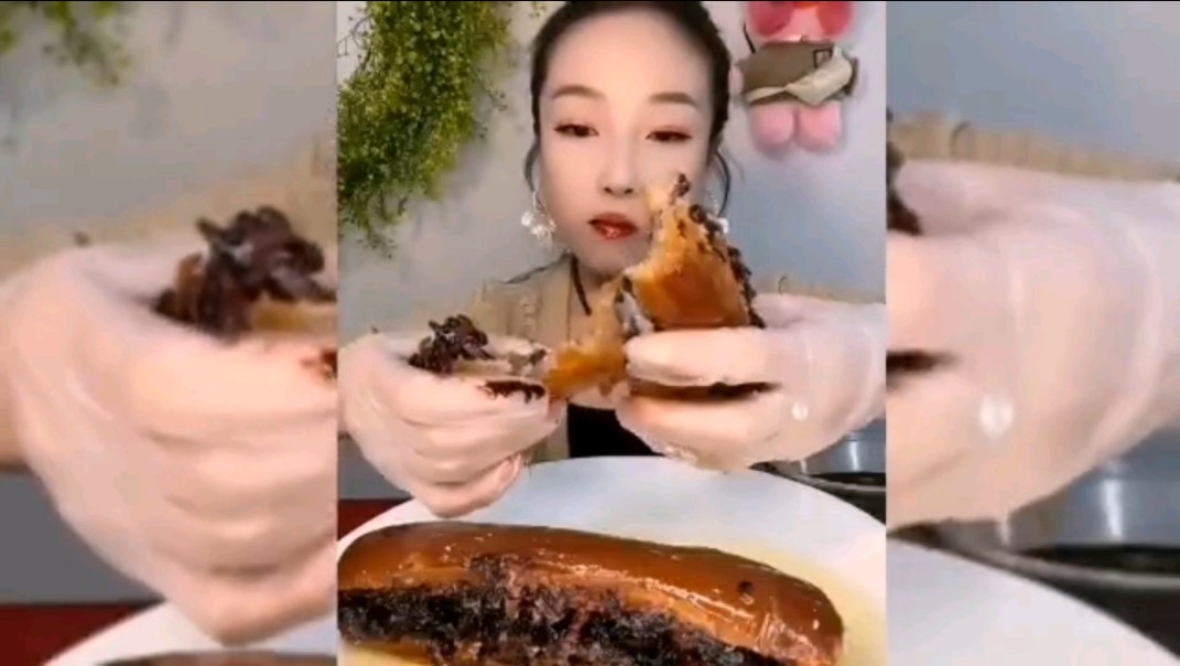 小铃铛直播-探索小铃铛：跟着美食主播，享受直播厨房的乐趣