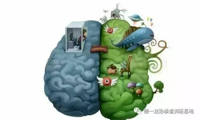 仿生爬虫游戏下载手机版_游戏加速器手机版下载_仿生爬虫机器人