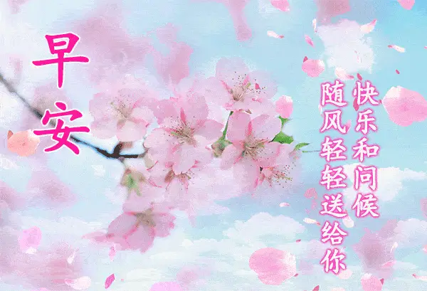 白露清凉，感受生命的轻盈和清新，珍惜每一个清晨的阳光