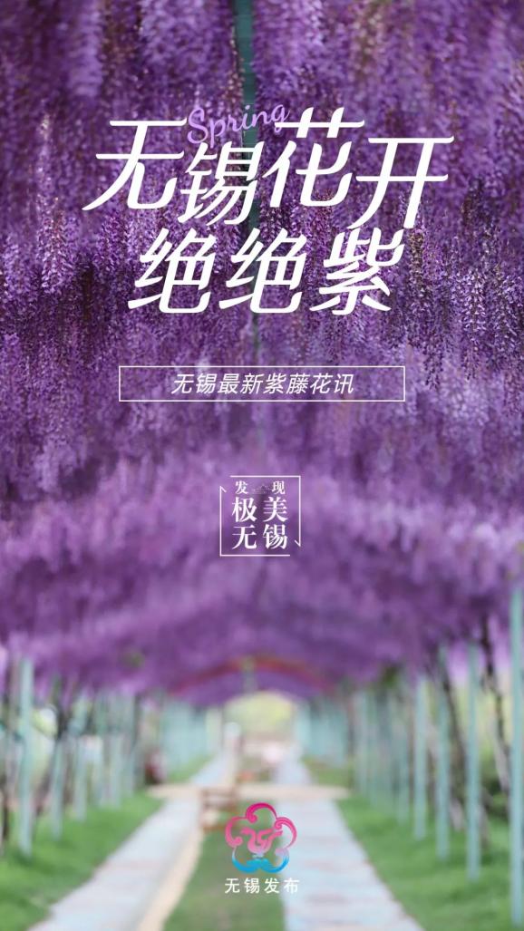 多多农场游戏手机：繁忙生活中的一抹宁静与成就