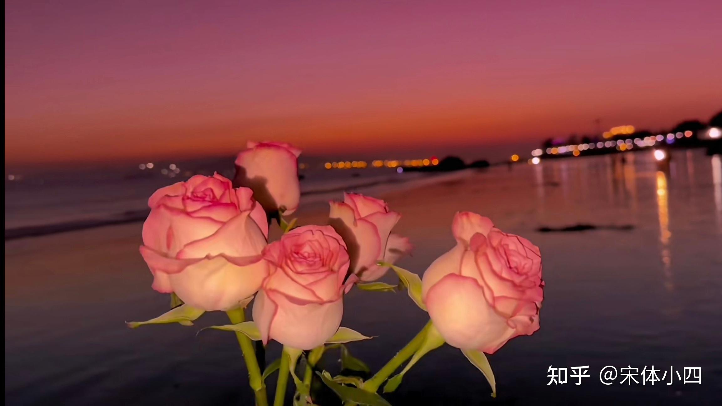 重返大海在线观看_重返大海_重返大海动画片