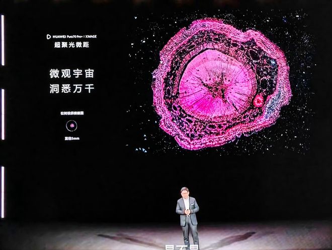 隐藏手机游戏的方法_oppo手机游戏隐藏_隐藏手机游戏的软件