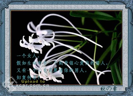 妹控是什么意思啊_妹控_妹控的哥哥是什么样的