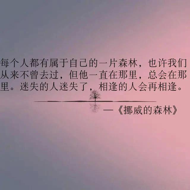 骑士助手_骑士物语酒店_双面骑士