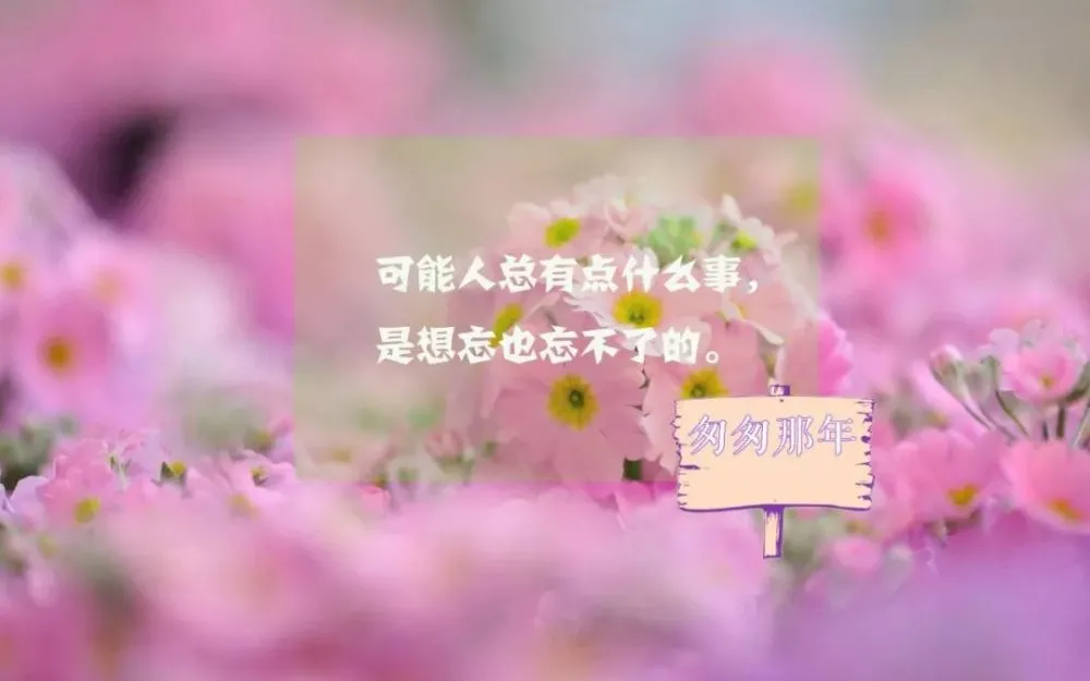 微信怎么发说说-微信发说说：记录生活，释放心情的完美方式