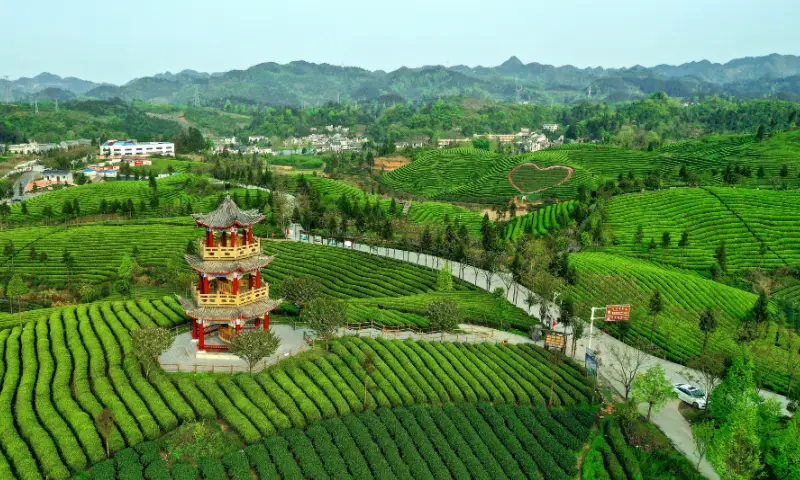 埃及时区跟北京时间_埃及时间与北京时间对照表_埃及时差与北京时间