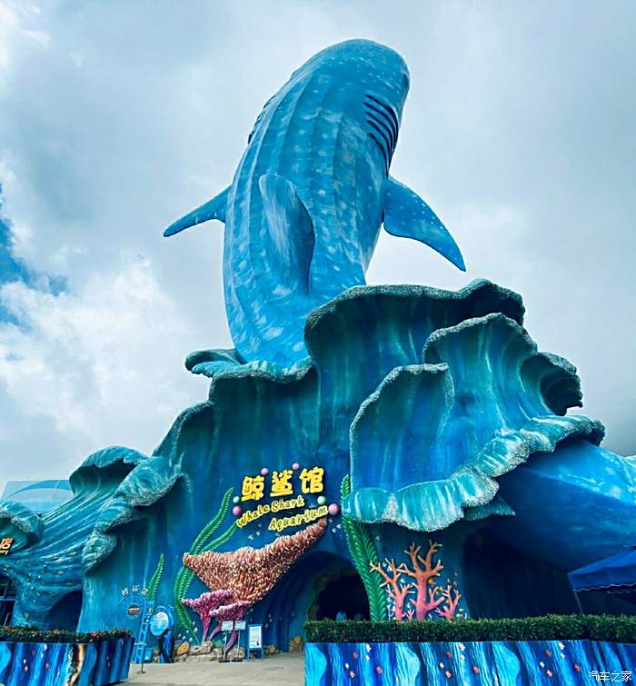 顶级域名托管：为网站穿上闪亮盔甲，畅游互联网海洋