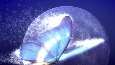 蝴蝶效应的故事_蝴蝶效应是什么意思_蝴蝶效应3