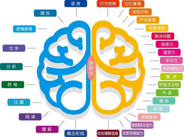 恋碍选项结局_我的脑内恋碍选项_脑内的恋碍选项