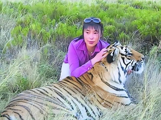 东北虎图片大全凶猛_东北虎图片_一只脚的东北虎图片