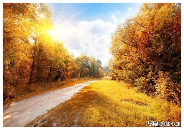 月经不来是什么原因_3月19日_月经推迟不来什么原因