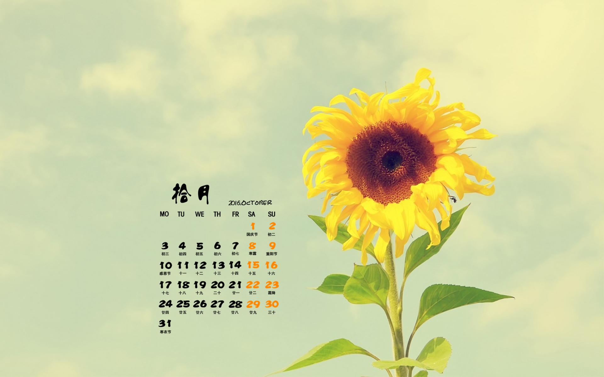 2016年10月10日_哈尼六月年_那年有润月年