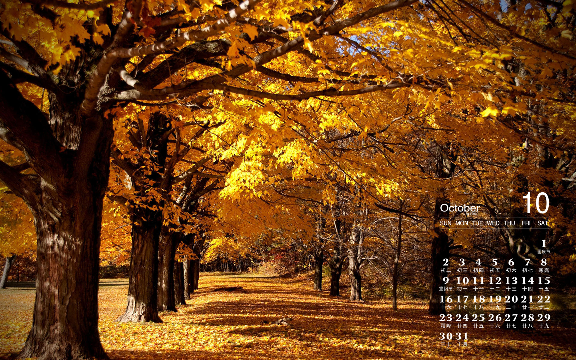 2016年10月10日_哈尼六月年_那年有润月年