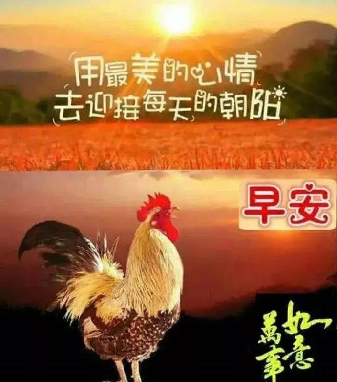 妮妮演的电视剧都有什么_妮妮形体健身操_妮妮