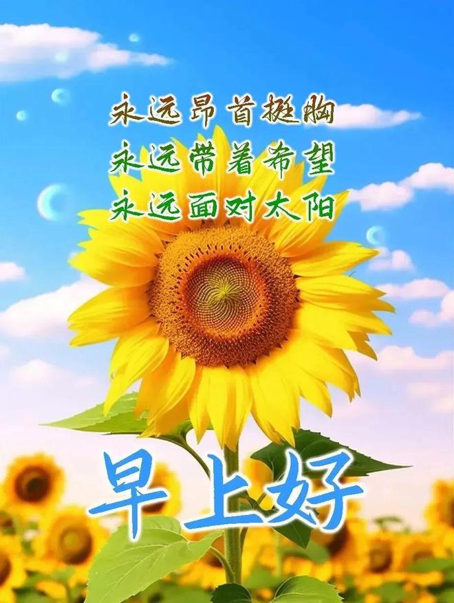 妮妮演的电视剧都有什么_妮妮_妮妮形体健身操