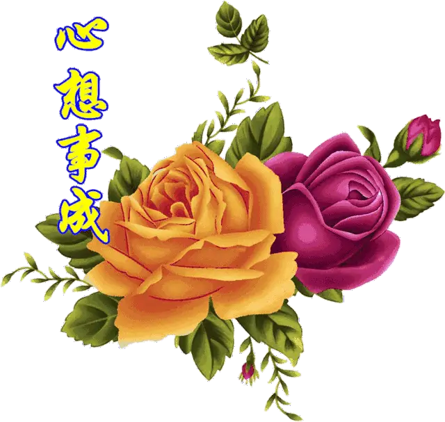 星期一的丰满_丰满型是什么意思_丰满是啥意思是什么
