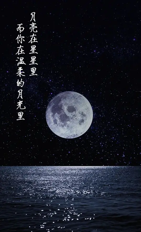 卡雷苟斯：神秘星辰背后的情感、寄托与梦想