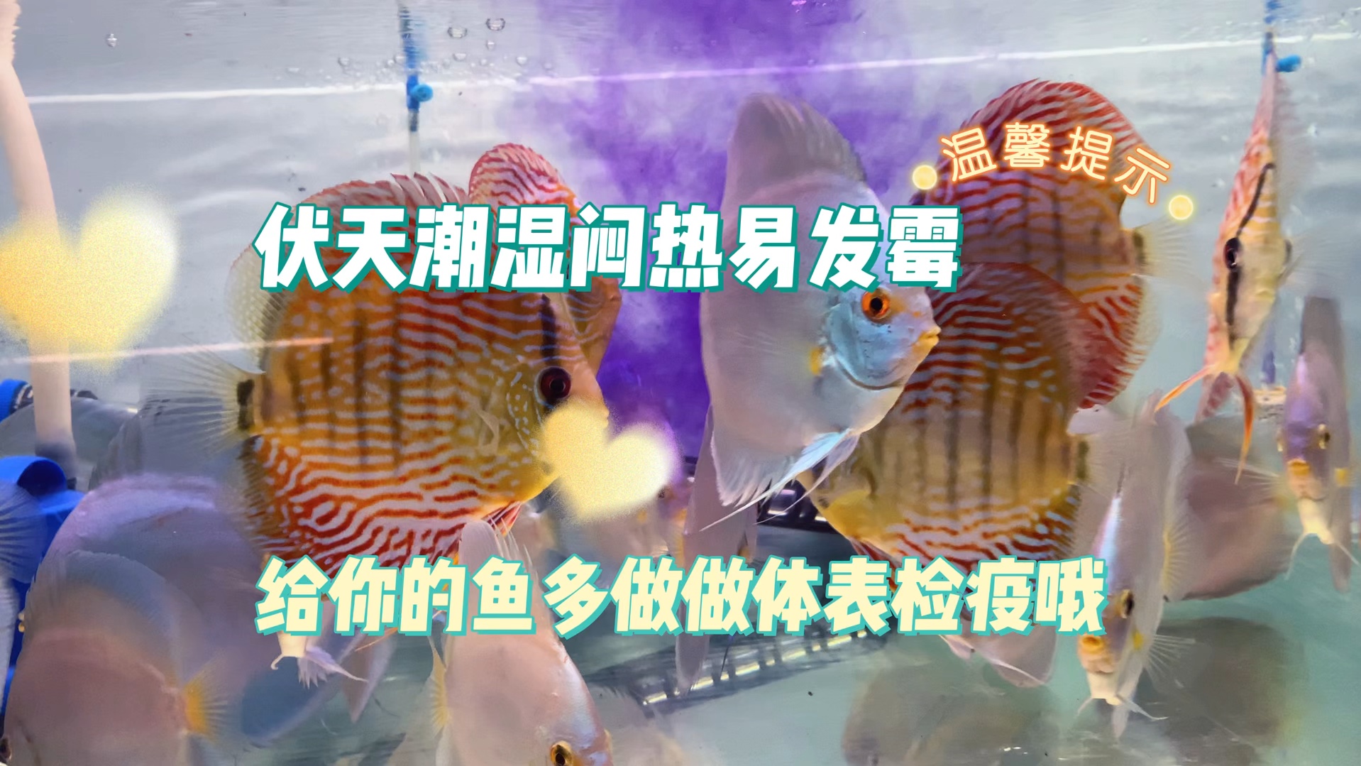防止孩子打游戏的手机壁纸_防止自己玩手机的壁纸黑色_防止玩手机壁纸