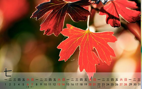 7月份日历表-七月的日历表，承载欢笑与泪水的时光记录者