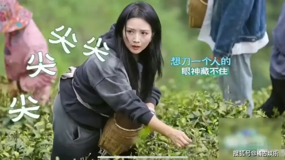 女人的品格电视剧免费高清电视_电视剧品格分集介绍_品格电视剧女主是谁演的