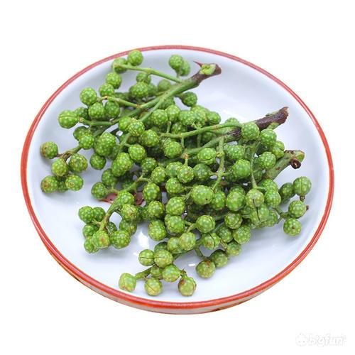 明日方舟兑换码兑换处_明日方舟礼包码兑换入口_兑换明日礼包入口码方舟怎么用