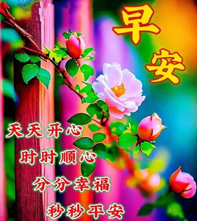 《烈火金刚》电影_电影烈火金刚_电影烈火金刚视频