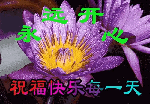 紧扣的星星的动漫_动漫星星相扣_动画紧扣的星星