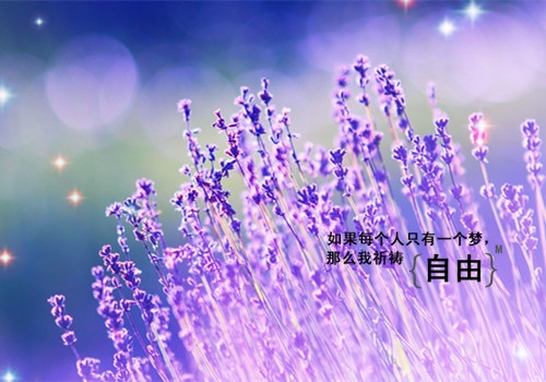 动画紧扣的星星_紧扣的星星的动漫_动漫星星相扣