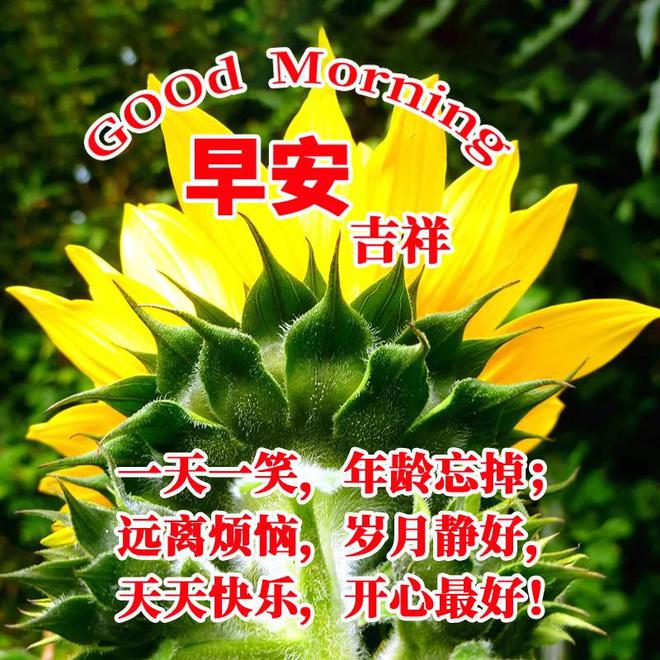 贴吧工具_贴吧工具箱不二链接_贴吧工具不二