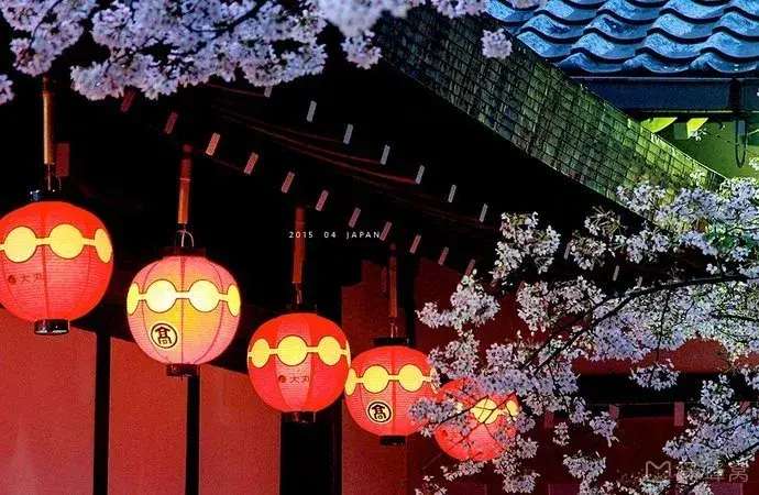 樱花节日本人_日本樱花节日_日本樱花节