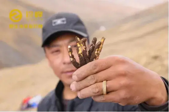 电脑制作手机游戏-用电脑捣鼓手机游戏：从新手到高手的成长之路
