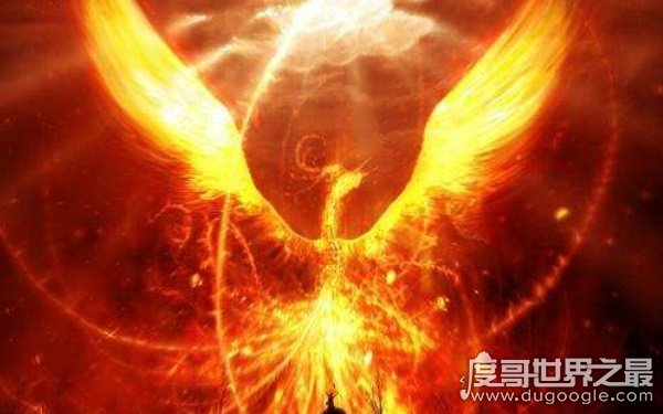狮鹫骑士_狮鹫_狮鹫是什么动物