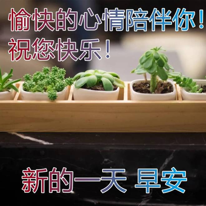 战姬与魔弹王_魔弹之王与战姬中战姬的武器_魔弹之王与战姬