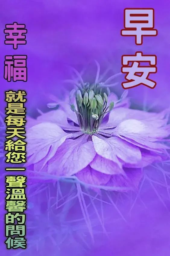 植物小游戏_植物moba手机游戏_动植物手机游戏
