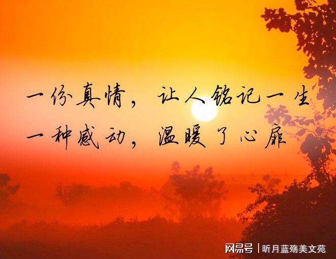 星瞳_official：数字世界的闪耀之星，直播间里的温暖陪