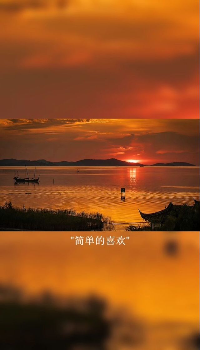 星瞳_official_瞳星结_瞳星智能眼疗仪价格