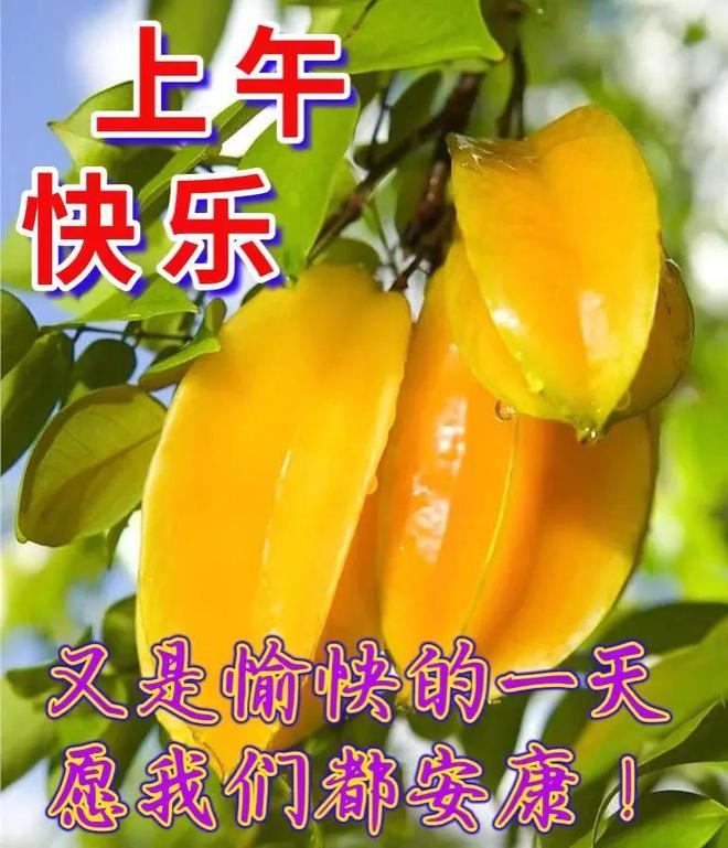 推荐是什么意思-推荐的力量：分享美好，传递快乐，收获成就感
