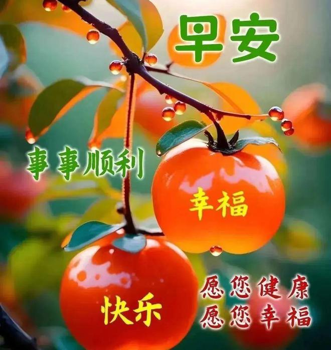 推荐意思是什么_推荐是什么意思_推荐的意思是什么标准答案