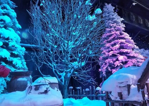 东方夜神雪传说之树_东方夜神雪抓硬币_东方夜神雪