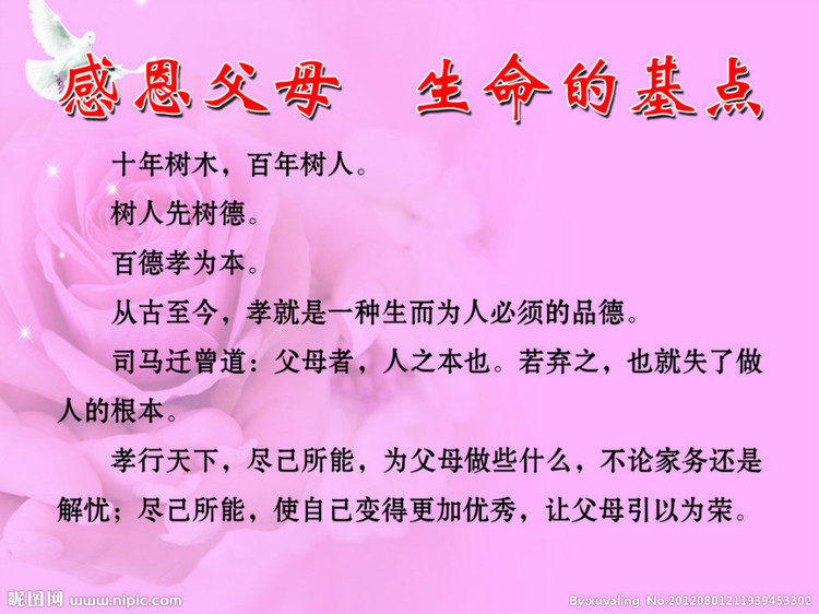 新浪微_新浪微博借钱_新浪微博网页