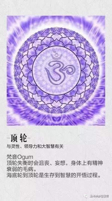 草地手机壁纸图片_草地残骸手机游戏_小羊羊游戏草地