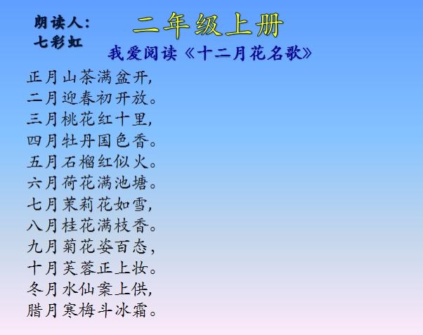 十二月令花_月令花卉_月令花图片