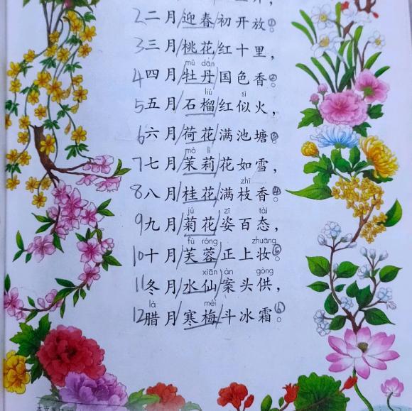 月令花图片_月令花卉_十二月令花