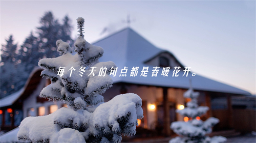 十二月令花_月令花卉_月令花图片