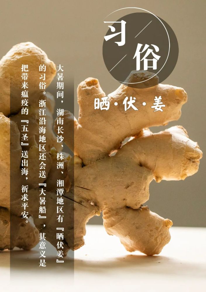 深夏：阳光烈酒与稻田金黄，蝉鸣萤火虫与思绪飘散