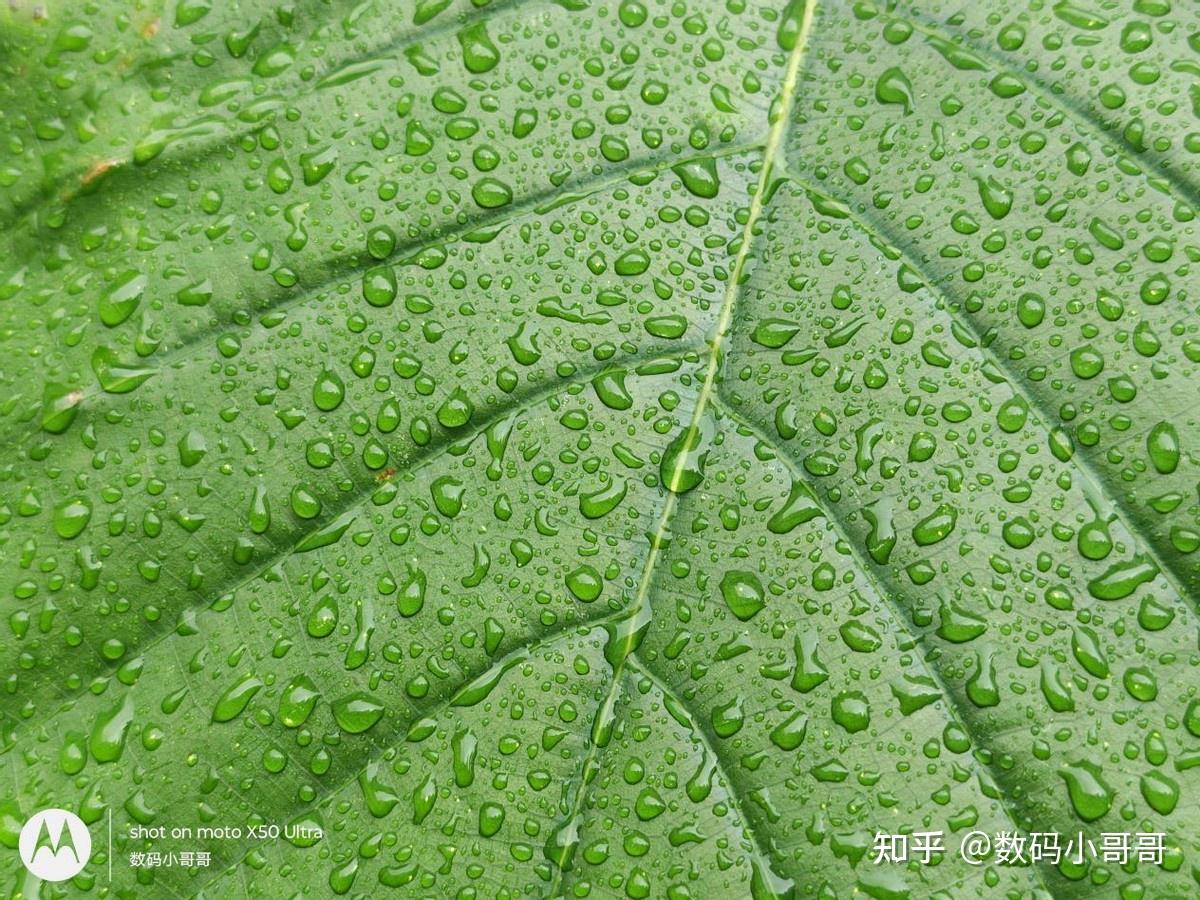 保值游戏手机推荐平价手机-平价游戏手机推荐，性能爆表让你玩得