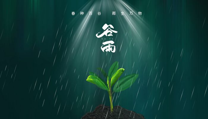 谷雨是几月几日?-谷雨：春天的告别礼物，稻谷生长的好帮手