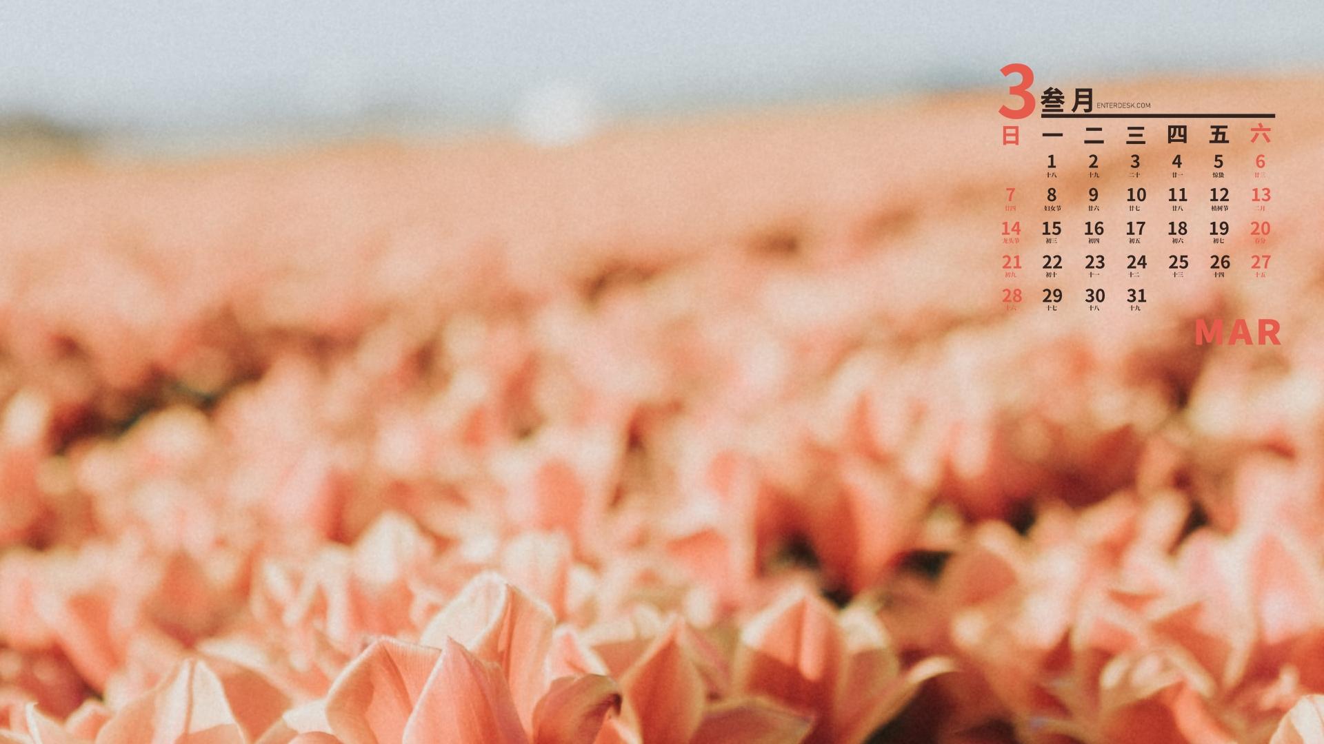 2020年3月桌面日历壁纸-2020 年 3 月桌面日历壁纸